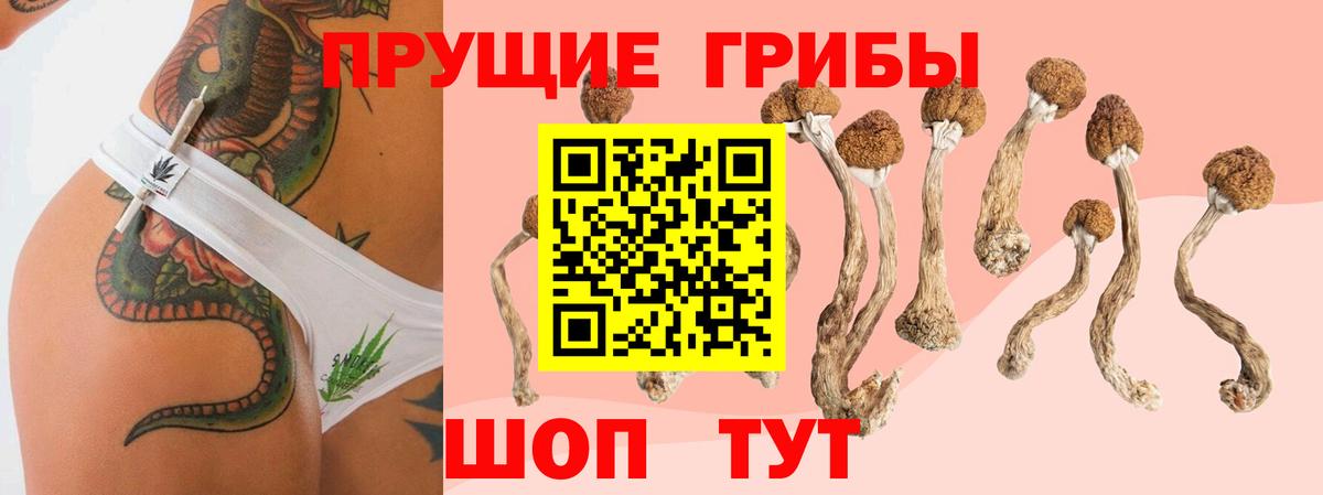 Жигулёвск  Галлюциногенные грибы Cubensis  Вход с VPN  Галлюциногенные грибы прущие грибы 